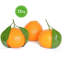 Mandarinas 12 kg
