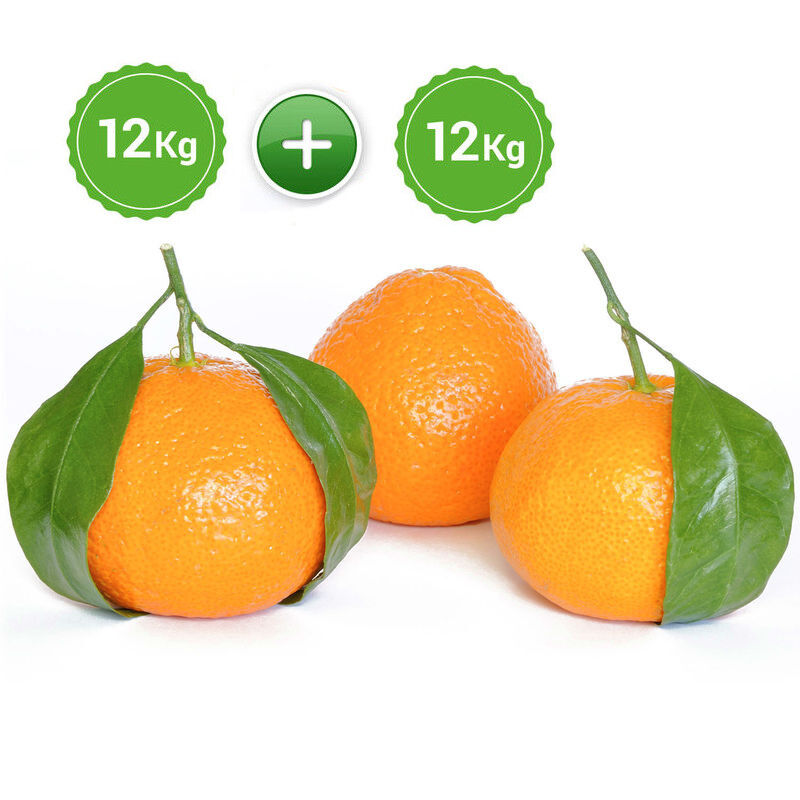 Pack Mandarinas 24 kg (2 Cajas de 12Kg)