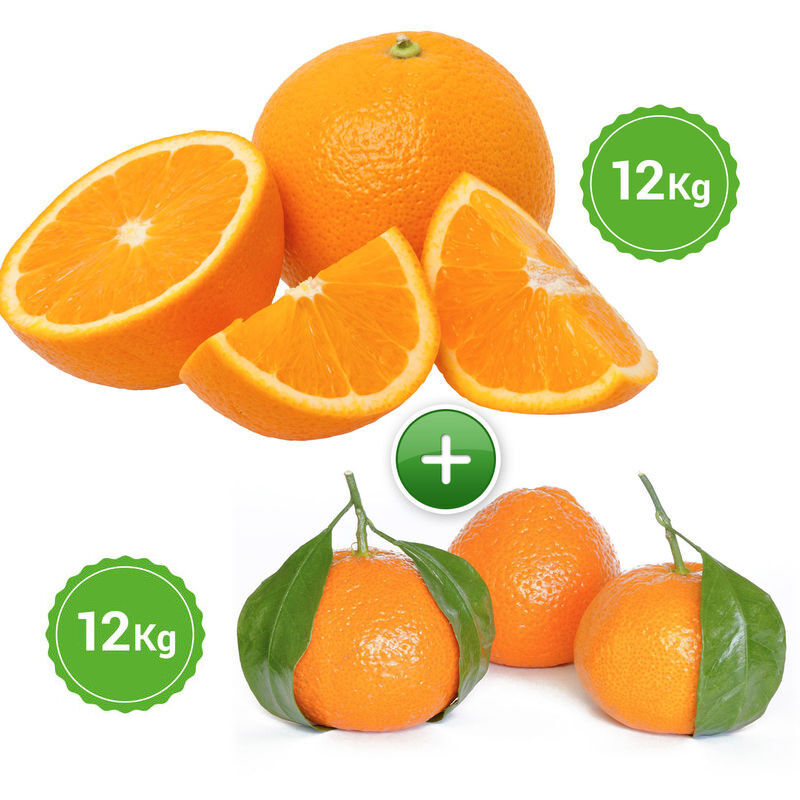Naranjas Mesa 12 KG + Mandarina 12 KG