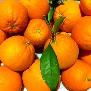 naranjas Mesa