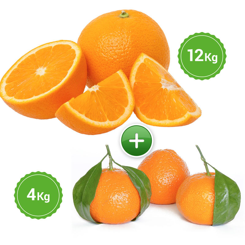 Naranjas Mesa y Mandarinas