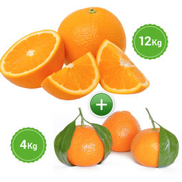 Naranjas Mesa 12 KG + Mandarina 4 KG